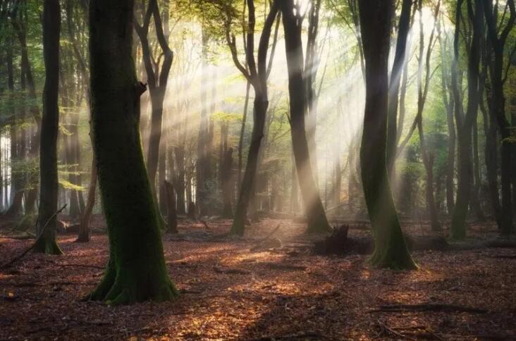 1664177686921281.jpg 1.jpg